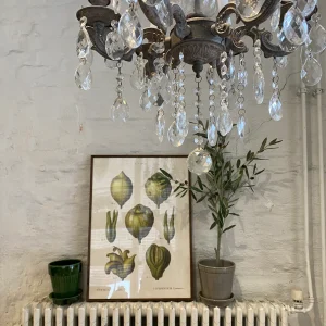 Juliste 50*70, lemons